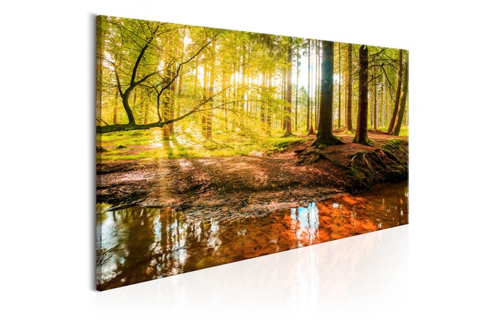 Taulu Autumnal Reverie 120x60 - Artgeist sp. z o. o. - Sisustustuotteet - Taulu & taide - Canvas-taulu