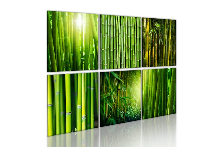 Taulu Bamboo Has Many Faces 120x80 - Artgeist sp. z o. o. - Sisustustuotteet - Taulu & taide - Canvas-taulu