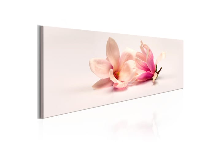 Taulu Beautiful Magnolias 135x45 - Artgeist sp. z o. o. - Sisustustuotteet - Taulu & taide - Canvas-taulu