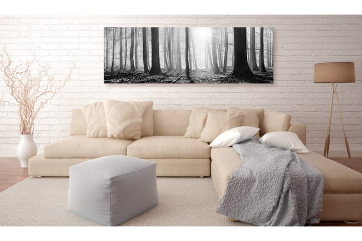 Taulu Black and White Forest 120x40 - Artgeist sp. z o. o. - Sisustustuotteet - Taulu & taide - Canvas-taulu