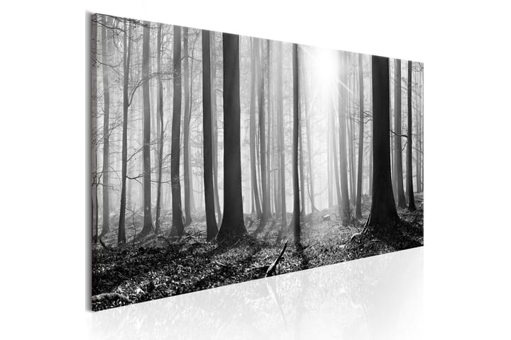 Taulu Black and White Forest 120x40 - Artgeist sp. z o. o. - Sisustustuotteet - Taulu & taide - Canvas-taulu