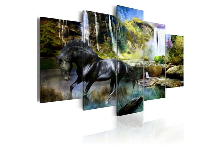 Taulu Black Horse Background Of Paradise Waterfall 200x100 - Artgeist sp. z o. o. - Sisustustuotteet - Taulu & taide - Canvas-taulu