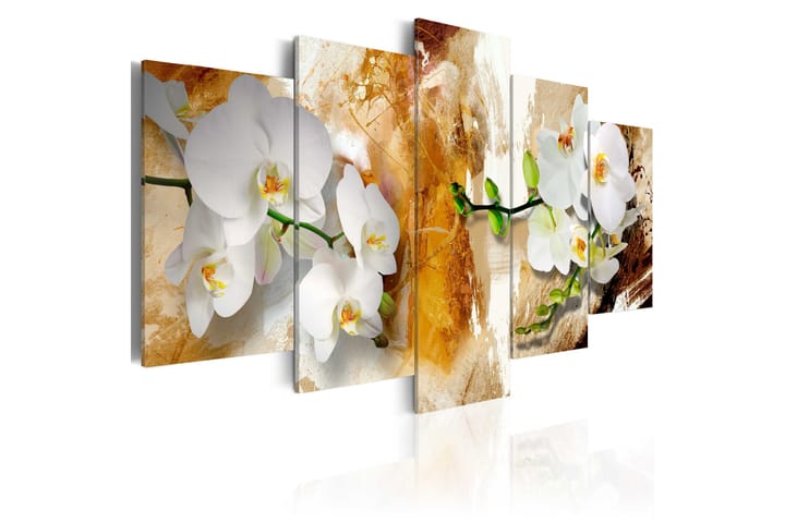 Taulu Brown Paint And Orchid 100x50 - Artgeist sp. z o. o. - Sisustustuotteet - Taulu & taide - Canvas-taulu