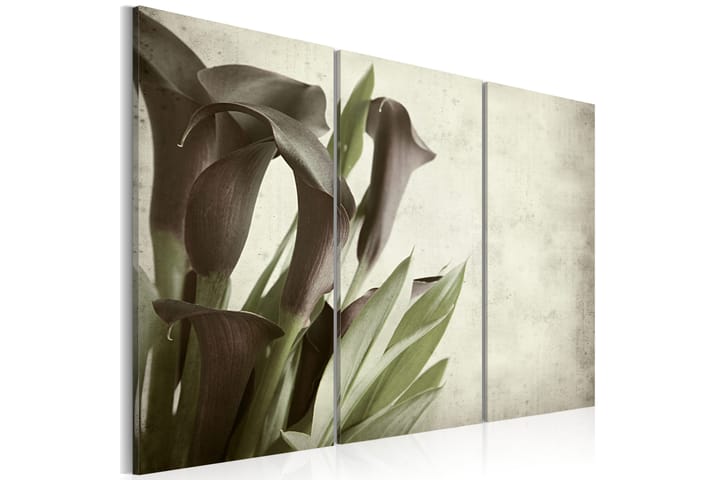 Taulu Callas Vintage 120x80 - Artgeist sp. z o. o. - Sisustustuotteet - Taulu & taide - Canvas-taulu