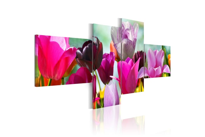 Taulu Charming Red Tulips 100x45 - Artgeist sp. z o. o. - Sisustustuotteet - Taulu & taide - Canvas-taulu