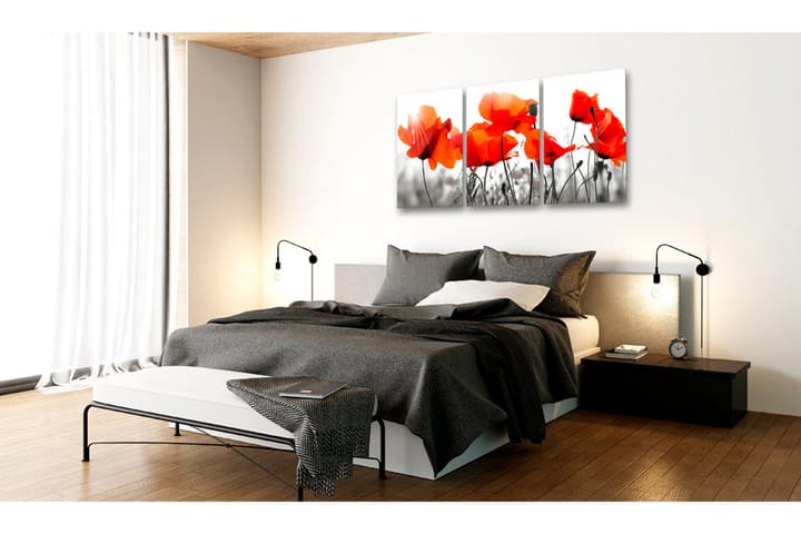 Taulu Charming Poppies 60x30 - Artgeist sp. z o. o. - Canvas-taulu - Seinäkoristeet