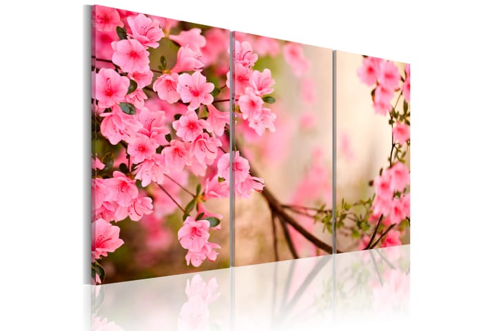 Taulu Cherry Flower 120x80 - Artgeist sp. z o. o. - Sisustustuotteet - Taulu & taide - Canvas-taulu