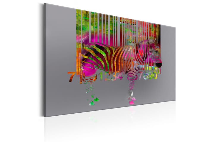 Taulu Code of Zebra 60x40 - Artgeist sp. z o. o. - Sisustustuotteet - Taulu & taide - Canvas-taulu