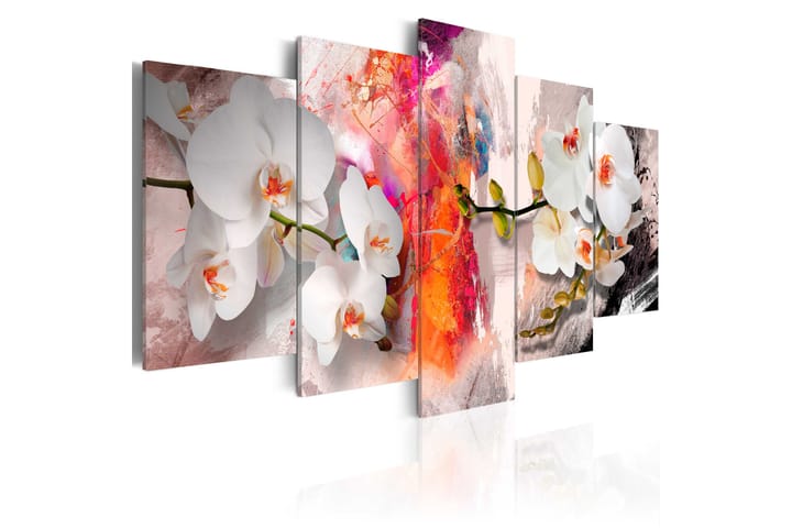 Taulu Colorful Background And Orchids 100x50 - Artgeist sp. z o. o. - Sisustustuotteet - Taulu & taide - Canvas-taulu