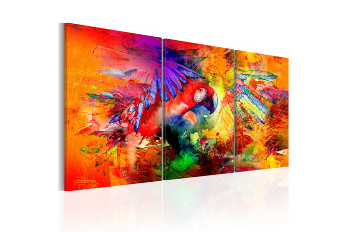 Taulu Colourful Parrot 120x60 - Artgeist sp. z o. o. - Sisustustuotteet - Taulu & taide - Canvas-taulu