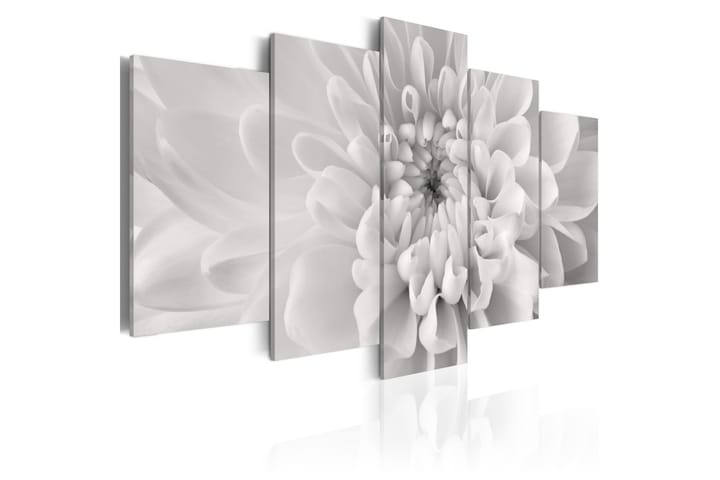 Taulu Dahlia Flower In Grey Shades 200x100 - Artgeist sp. z o. o. - Canvas-taulu - Seinäkoristeet