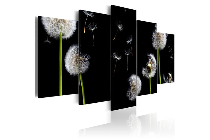 Taulu Dandelion- Towards Freedom 100x50 - Artgeist sp. z o. o. - Sisustustuotteet - Taulu & taide - Canvas-taulu