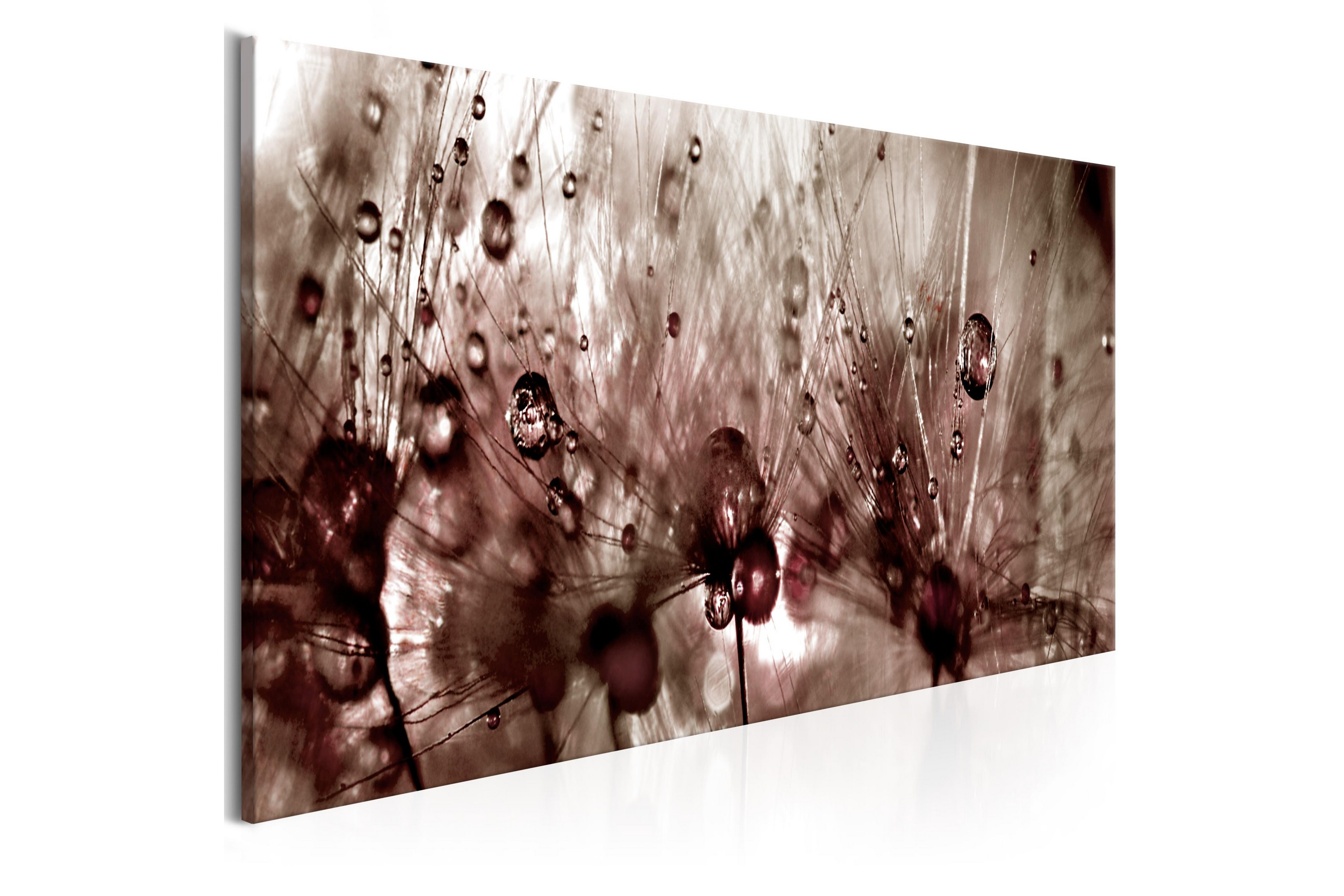 Taulu Dandelions After Rain 120x40 - Artgeist sp. z o. o.