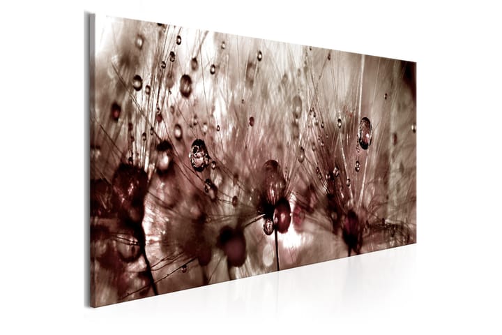 Taulu Dandelions After Rain 120x40 - Artgeist sp. z o. o. - Sisustustuotteet - Taulu & taide - Canvas-taulu