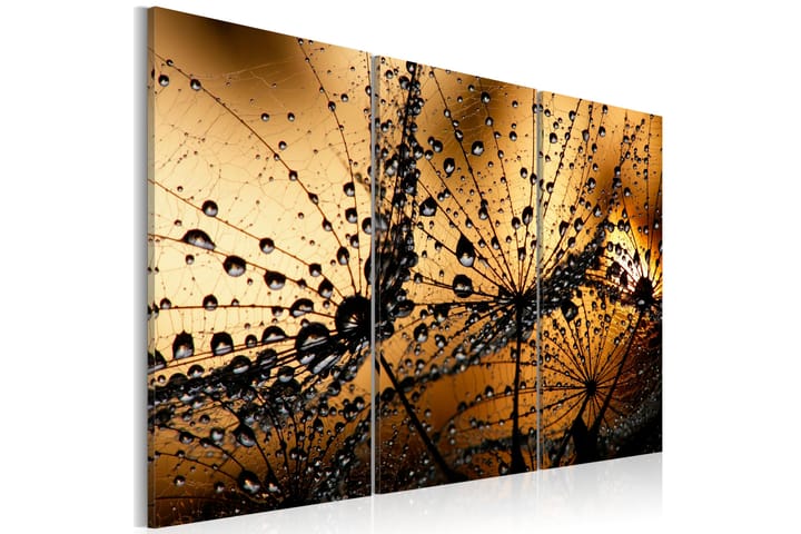 Taulu Dandelions and dew 90x60 - Artgeist sp. z o. o. - Sisustustuotteet - Taulu & taide - Canvas-taulu