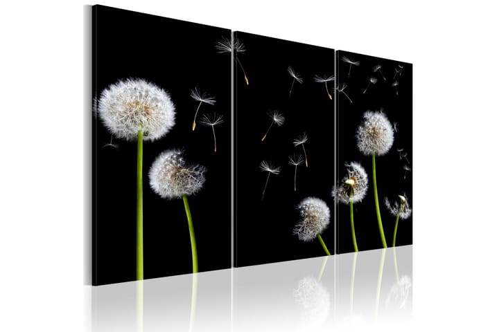 Taulu Dandelions Family 120x80 - Artgeist sp. z o. o. - Sisustustuotteet - Taulu & taide - Canvas-taulu