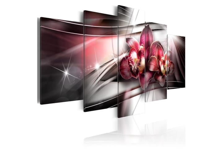 Taulu Dark Beauty 100x50 - Artgeist sp. z o. o. - Sisustustuotteet - Taulu & taide - Canvas-taulu