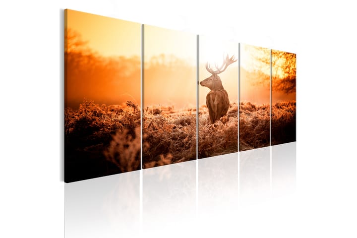 Taulu Deer At Sunset 225x90 - Artgeist sp. z o. o. - Sisustustuotteet - Taulu & taide - Canvas-taulu