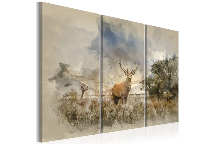 Taulu Deer In The Field 120x80 - Artgeist sp. z o. o. - Sisustustuotteet - Taulu & taide - Canvas-taulu