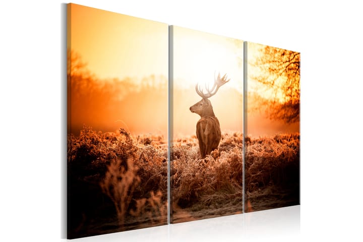 Taulu Deer In The Sun 120x80 - Artgeist sp. z o. o. - Sisustustuotteet - Taulu & taide - Canvas-taulu