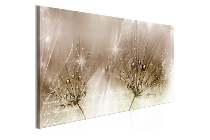 Taulu Drops Of Dew 1 Part Brown Wide 100x45 - Artgeist sp. z o. o. - Sisustustuotteet - Taulu & taide - Canvas-taulu