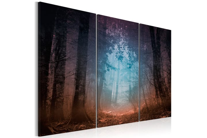 Taulu Edge of the forest triptych 90x60 - Artgeist sp. z o. o. - Sisustustuotteet - Taulu & taide - Canvas-taulu