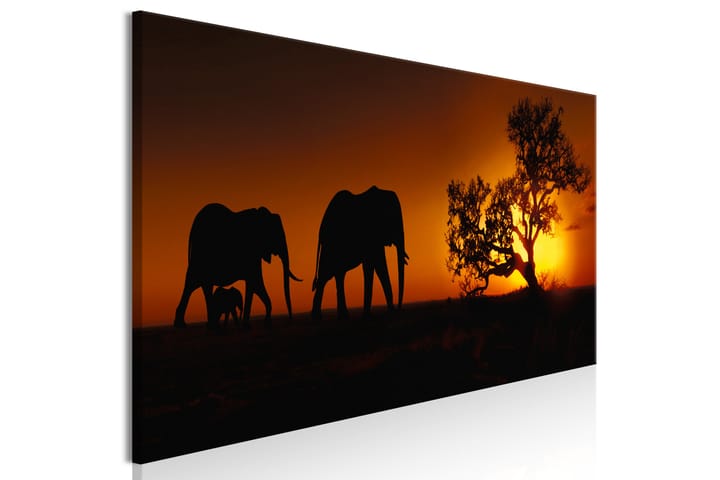 Taulu Elephant Family (Orange) 120x40 - Artgeist sp. z o. o. - Sisustustuotteet - Taulu & taide - Canvas-taulu