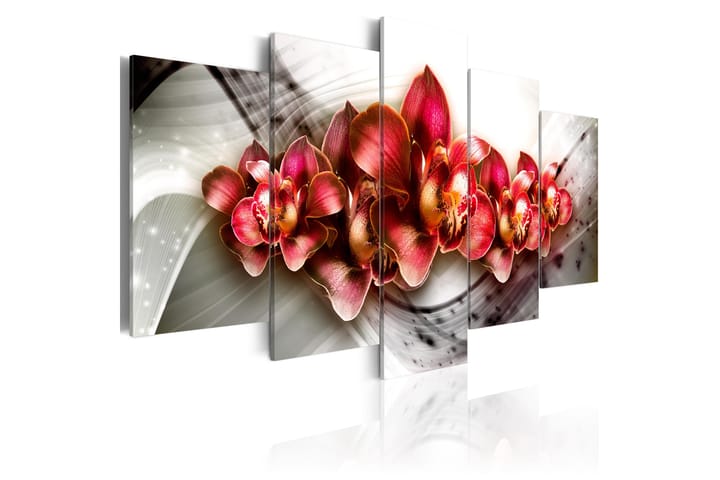 Taulu Empire Of The Orchid 200x100 - Artgeist sp. z o. o. - Sisustustuotteet - Taulu & taide - Canvas-taulu