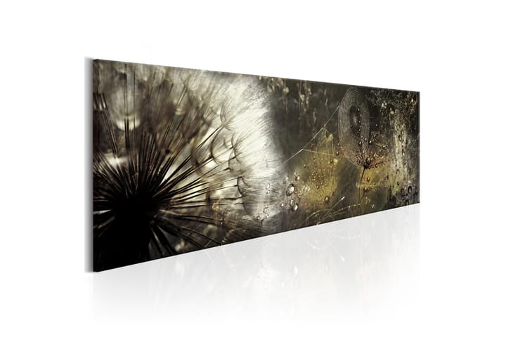 Taulu Enchanted Morning 150x50 - Artgeist sp. z o. o. - Sisustustuotteet - Taulu & taide - Canvas-taulu