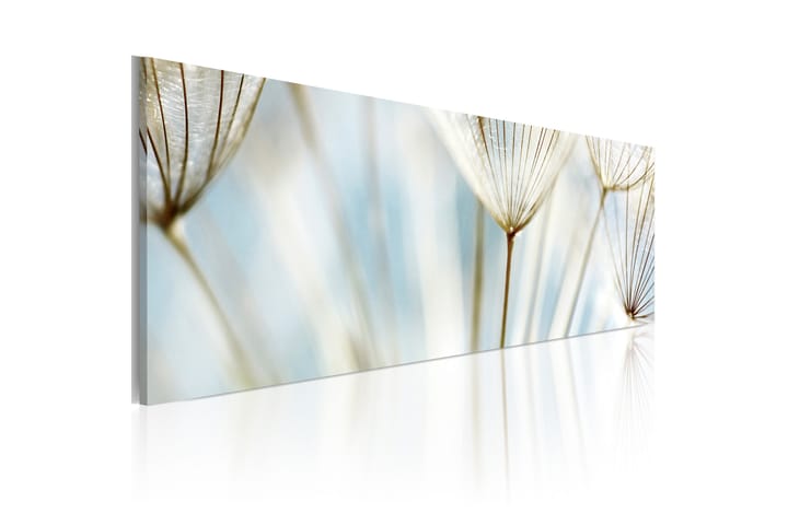 Taulu Ephemeral moments 135x45 - Artgeist sp. z o. o. - Sisustustuotteet - Taulu & taide - Canvas-taulu