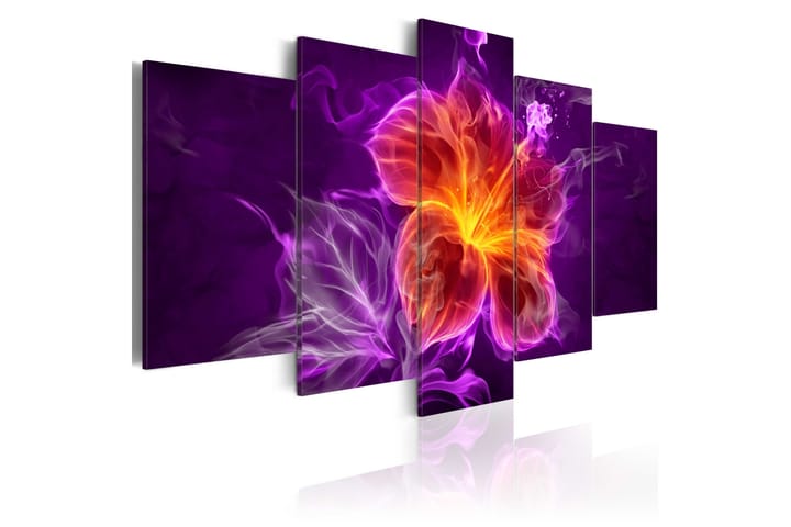 Taulu Esoteric Flower 200x100 - Artgeist sp. z o. o. - Sisustustuotteet - Taulu & taide - Canvas-taulu