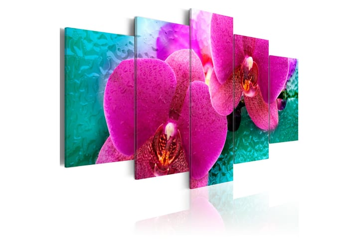 Taulu Exotic Orchids 100x50 - Artgeist sp. z o. o. - Sisustustuotteet - Taulu & taide - Canvas-taulu