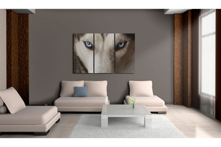 Taulu Face To Face With Fear 120x80 - Artgeist sp. z o. o. - Sisustustuotteet - Taulu & taide - Canvas-taulu