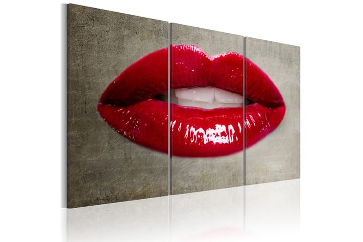 Taulu Female lips 90x60 - Artgeist sp. z o. o. - Sisustustuotteet - Taulu & taide - Canvas-taulu