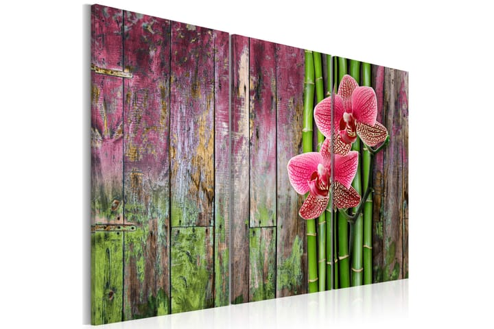 Taulu Flower and bamboo 120x80 - Artgeist sp. z o. o. - Sisustustuotteet - Taulu & taide - Canvas-taulu