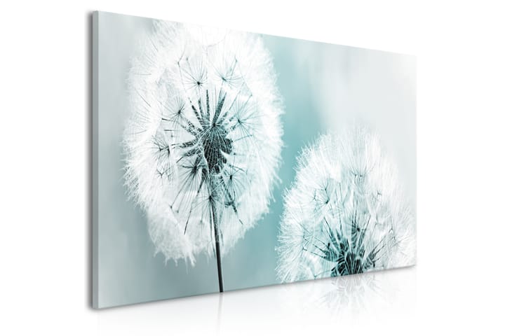 Taulu Fluffy Dandelions (1 Part) Blue Wide 100x45 - Artgeist sp. z o. o. - Sisustustuotteet - Taulu & taide - Canvas-taulu