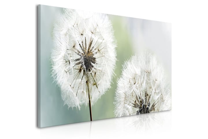 Taulu Fluffy Dandelions (1 Part) Green Wide 100x45 - Artgeist sp. z o. o. - Sisustustuotteet - Taulu & taide - Canvas-taulu