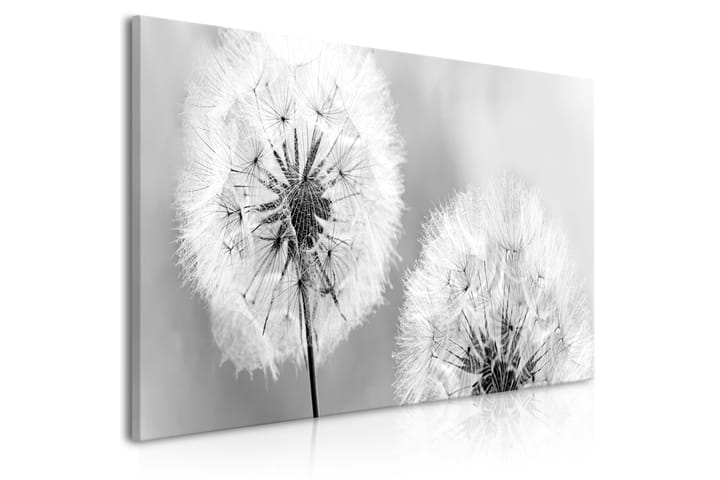 Taulu Fluffy Dandelions (1 Part) Grey Wide 100x45 - Artgeist sp. z o. o. - Sisustustuotteet - Taulu & taide - Canvas-taulu