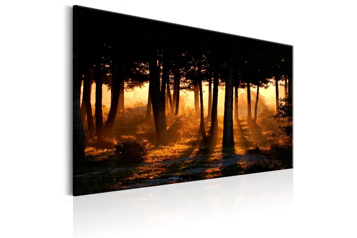 Taulu Forest Dawn 90x60 - Artgeist sp. z o. o. - Sisustustuotteet - Taulu & taide - Canvas-taulu