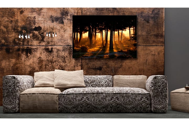 Taulu Forest Dawn 90x60 - Artgeist sp. z o. o. - Sisustustuotteet - Taulu & taide - Canvas-taulu