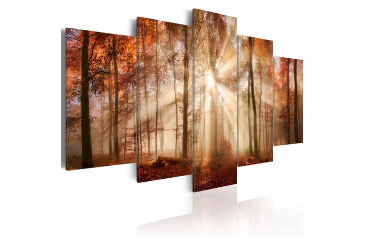 Taulu Forest Fog 100x50 - Artgeist sp. z o. o. - Sisustustuotteet - Taulu & taide - Canvas-taulu