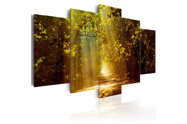 Taulu Forest In The Sunlight 200x100 - Artgeist sp. z o. o. - Sisustustuotteet - Taulu & taide - Canvas-taulu