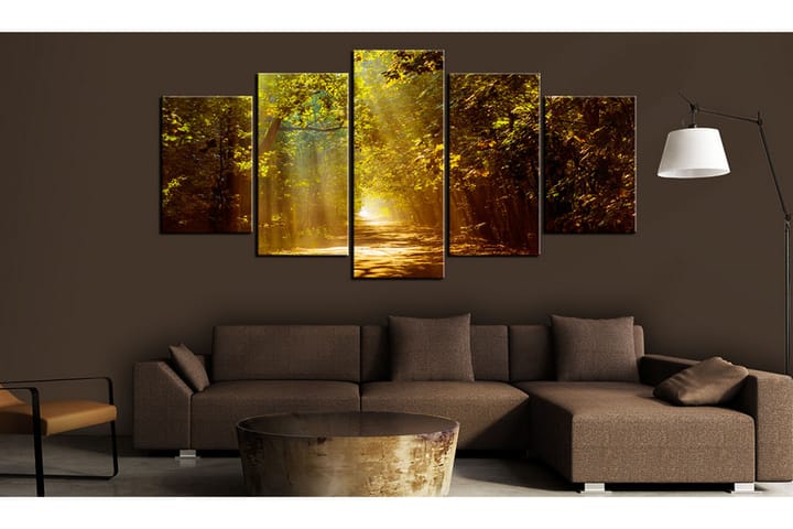 Taulu Forest In The Sunlight 200x100 - Artgeist sp. z o. o. - Sisustustuotteet - Taulu & taide - Canvas-taulu