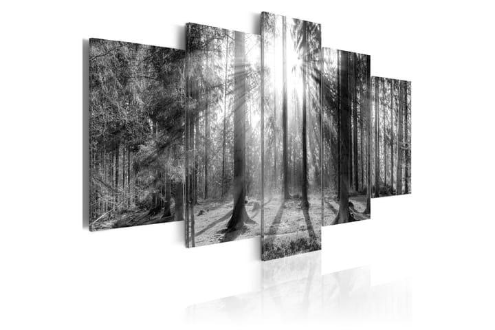 Taulu Forest Of Memories 100x50 - Artgeist sp. z o. o. - Sisustustuotteet - Taulu & taide - Canvas-taulu