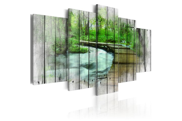 Taulu Forest Of Secrets 100x50 - Artgeist sp. z o. o. - Sisustustuotteet - Taulu & taide - Canvas-taulu