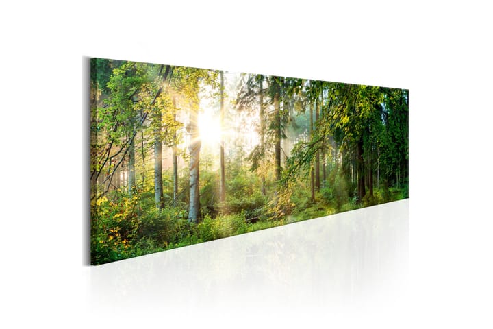 Taulu Forest Shelter 135x45 - Artgeist sp. z o. o. - Canvas-taulu - Seinäkoristeet