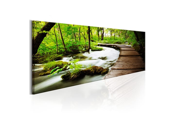 Taulu Forest Song 120x40 - Artgeist sp. z o. o. - Sisustustuotteet - Taulu & taide - Canvas-taulu