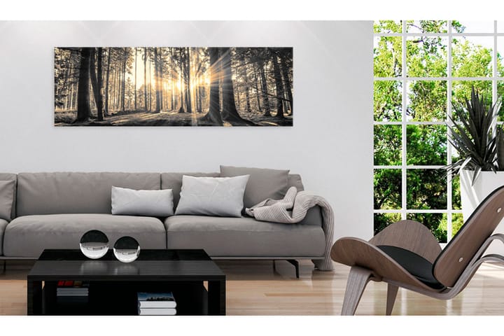 Taulu Forest Sun 135x45 - Artgeist sp. z o. o. - Sisustustuotteet - Taulu & taide - Canvas-taulu