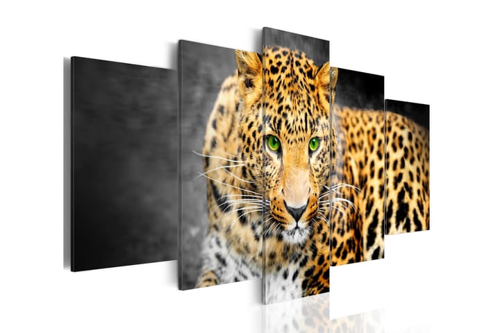 Taulu Green-Eyed Leopard 200x100 - Artgeist sp. z o. o. - Sisustustuotteet - Taulu & taide - Canvas-taulu