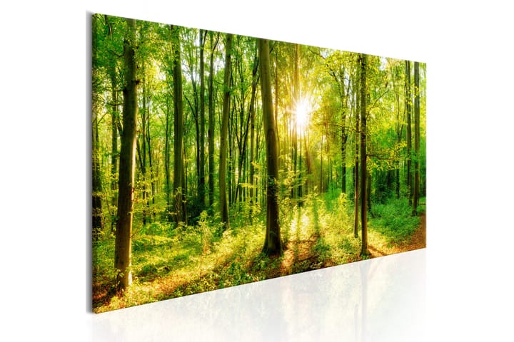 Taulu Green Magic 135x45 - Artgeist sp. z o. o. - Canvas-taulu - Seinäkoristeet